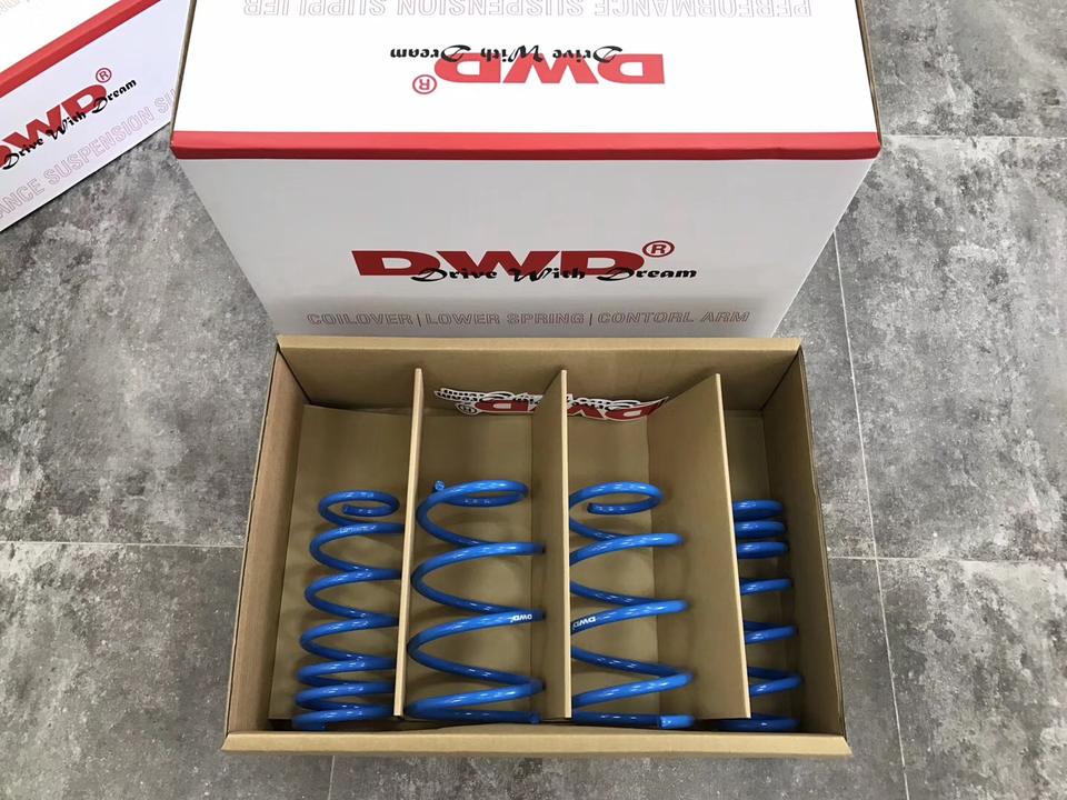 DWD lowering springs in retail packaging
